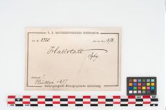 Foto von Bronzebreitrandschüssel (NHMW-PRAE-002320)